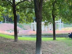 -牛岗山公园