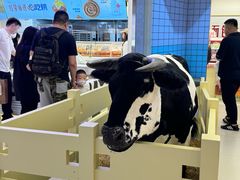 -红星前进面包牛奶公司(君太店)