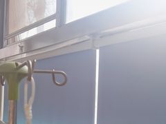 -中国农业大学动物医院
