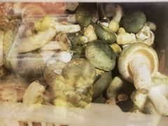 -双喜农庄·菌香园(安居家园店)
