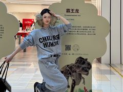 -鹏欣水游城