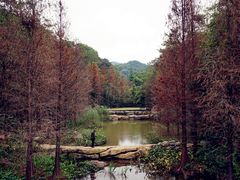 -云溪植物园