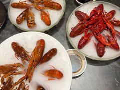 -红盔甲·小龙虾(人民广场店)