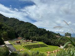 -龙岩森林水乡景区
