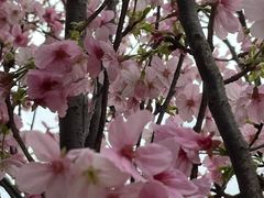 -观澜湖生态运动公社