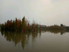 -白鹭湾湿地公园