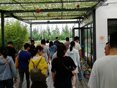 -田园东方蜜桃村的田野营地