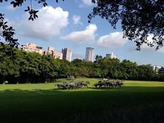 -广州雕塑公园