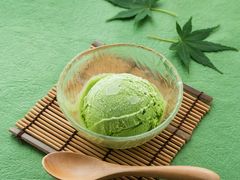 绿色一夏-同火锅