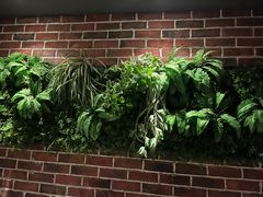 -和悦SPA·采耳(聚丰园路店)