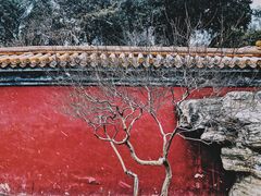 景点-景山公园