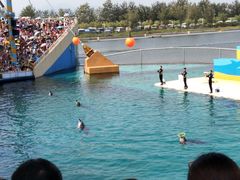 -秦皇岛乐岛海洋王国