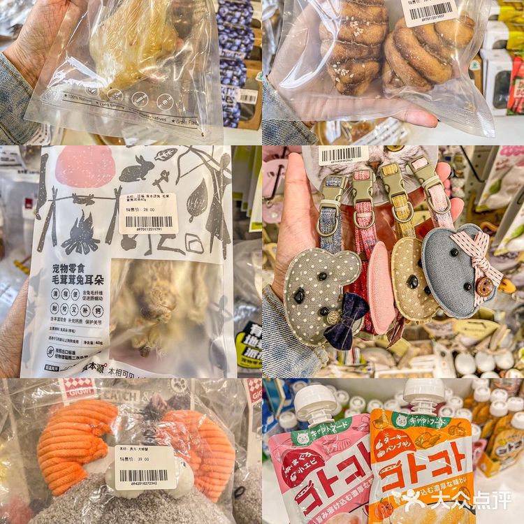 🦀️成都｜明星同款宠物店❗️毛孩子的快乐星球