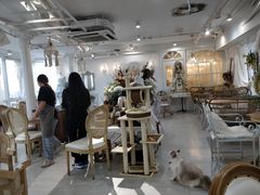 大堂-共舞时光猫咖·狗咖(新街口店)