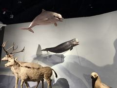 -中国湿地博物馆