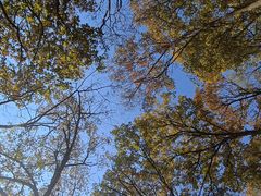 -天津盘山风景名胜区