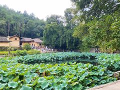 -韶山毛泽东同志故居