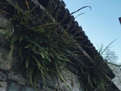 -南京市民俗博物馆(甘熙故居)