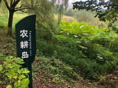 -长兴太湖图影湿地文化园