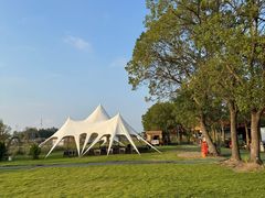 -动邦皮划艇·桨板·独木舟·团建户外运动俱乐部