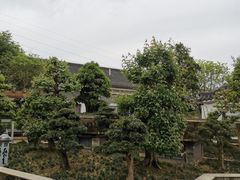 -老幺泉水鸡