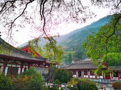 -西安华清御汤酒店