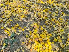 -长春世界雕塑园冰雪艺术天地