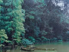 -深圳仙湖植物园
