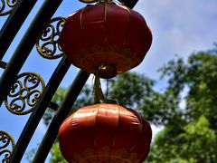 -大屏嶂森林公园