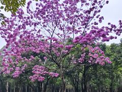 -福神岗公园