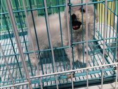 -龟与熊猫宠物公园(南坪店)