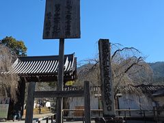 -醍醐寺
