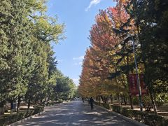 -辽宁大学(崇山校区)