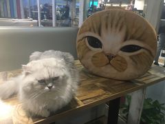 -小时光咖啡馆(开森度假森林店)