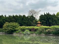 -嘉定紫藤园