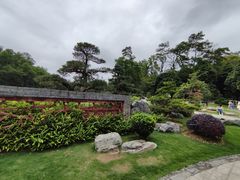 -深圳仙湖植物园