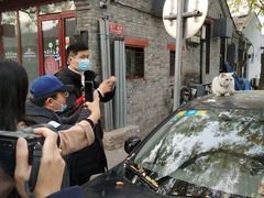 -北京国子监胡同