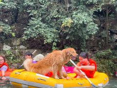 -安吉龙王山峡谷漂流