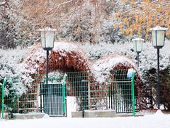 -银树楼(紫玉山庄东区店)