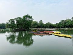 -西溪国家湿地公园