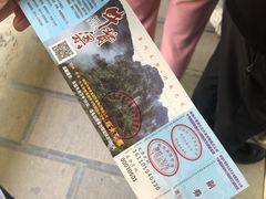 -牛背梁国家森林公园