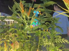 -木屋烧烤(龙岗龙城万科里店)