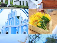 -杭州湾海上花田景区