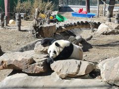 -沈阳森林动物园
