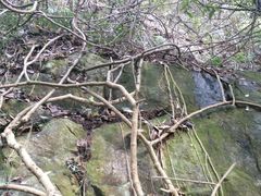 -宁波五龙潭景区