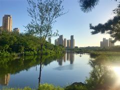 -前关湿地公园