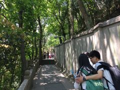 -上海佘山国家森林公园西佘山园