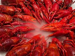 -红盔甲·小龙虾(车公庙店)
