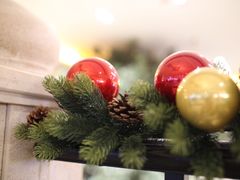 -the rug 飞毯 (朝阳公园店)