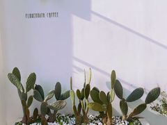 -花沐 FLOWER BATH(凤凰城店)